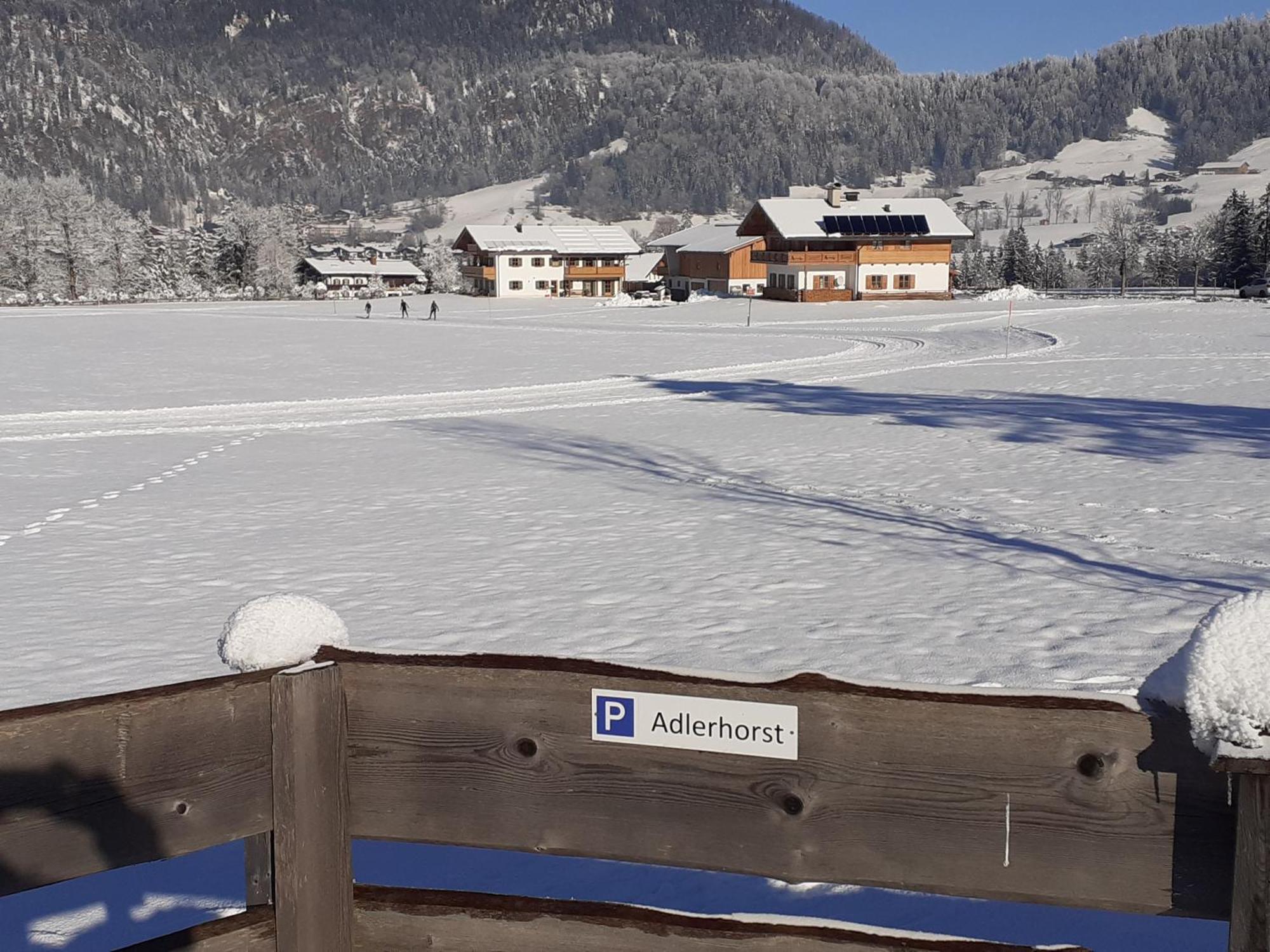 Ferienwohnung Adlerhorst Im Haus Lohrey ライト・イム・ヴィンクル エクステリア 写真